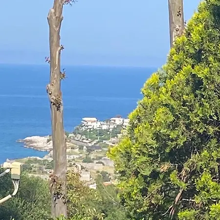Kaliste * Palermo